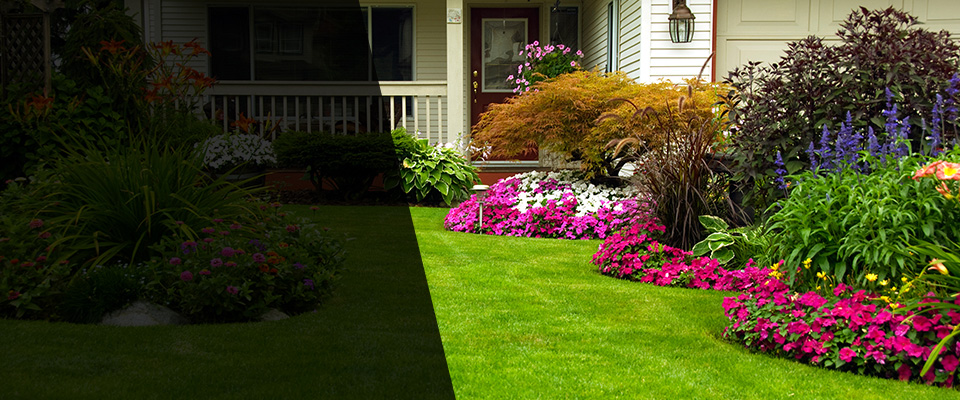 Mount Pleasant Landscapers