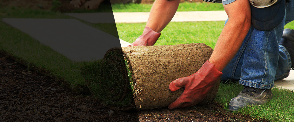 Mount Pleasant Landscapers